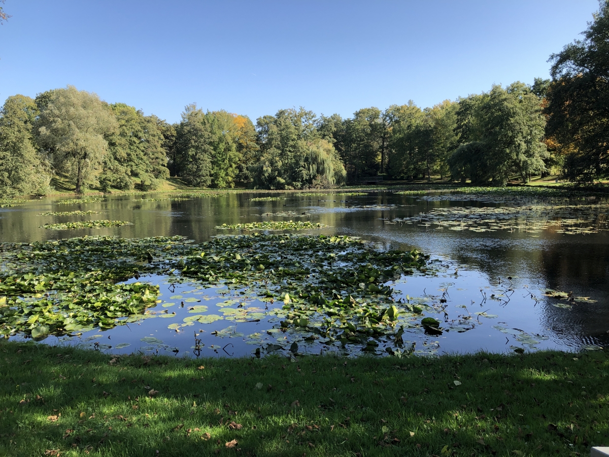 Trier - Aulbach-Weiher