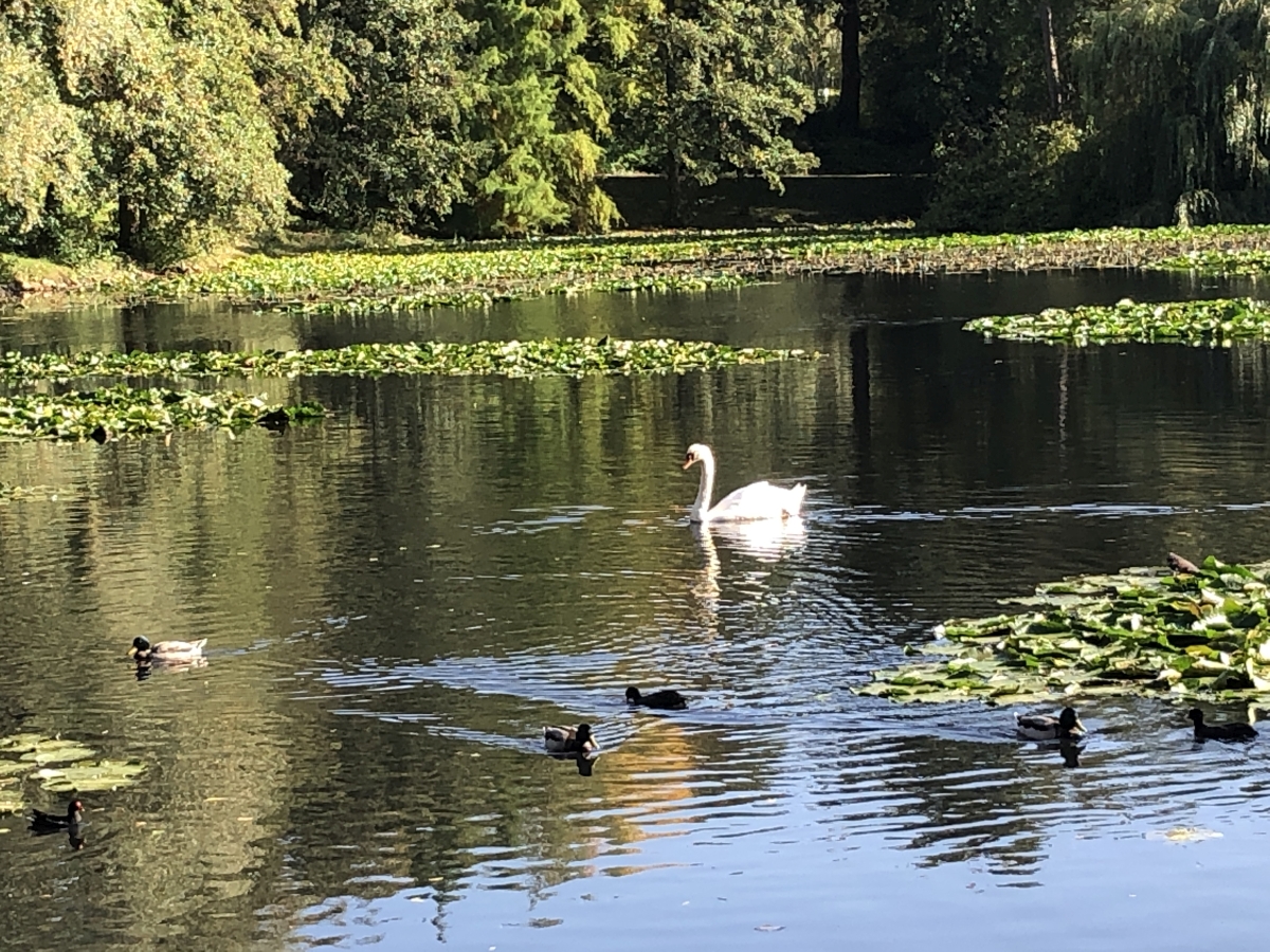 Trier - Aulbach-Weiher